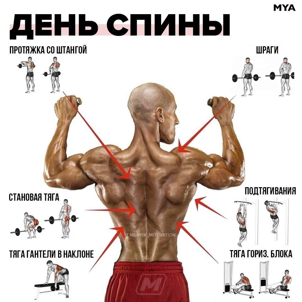 Воркаут с весом программы тренировок