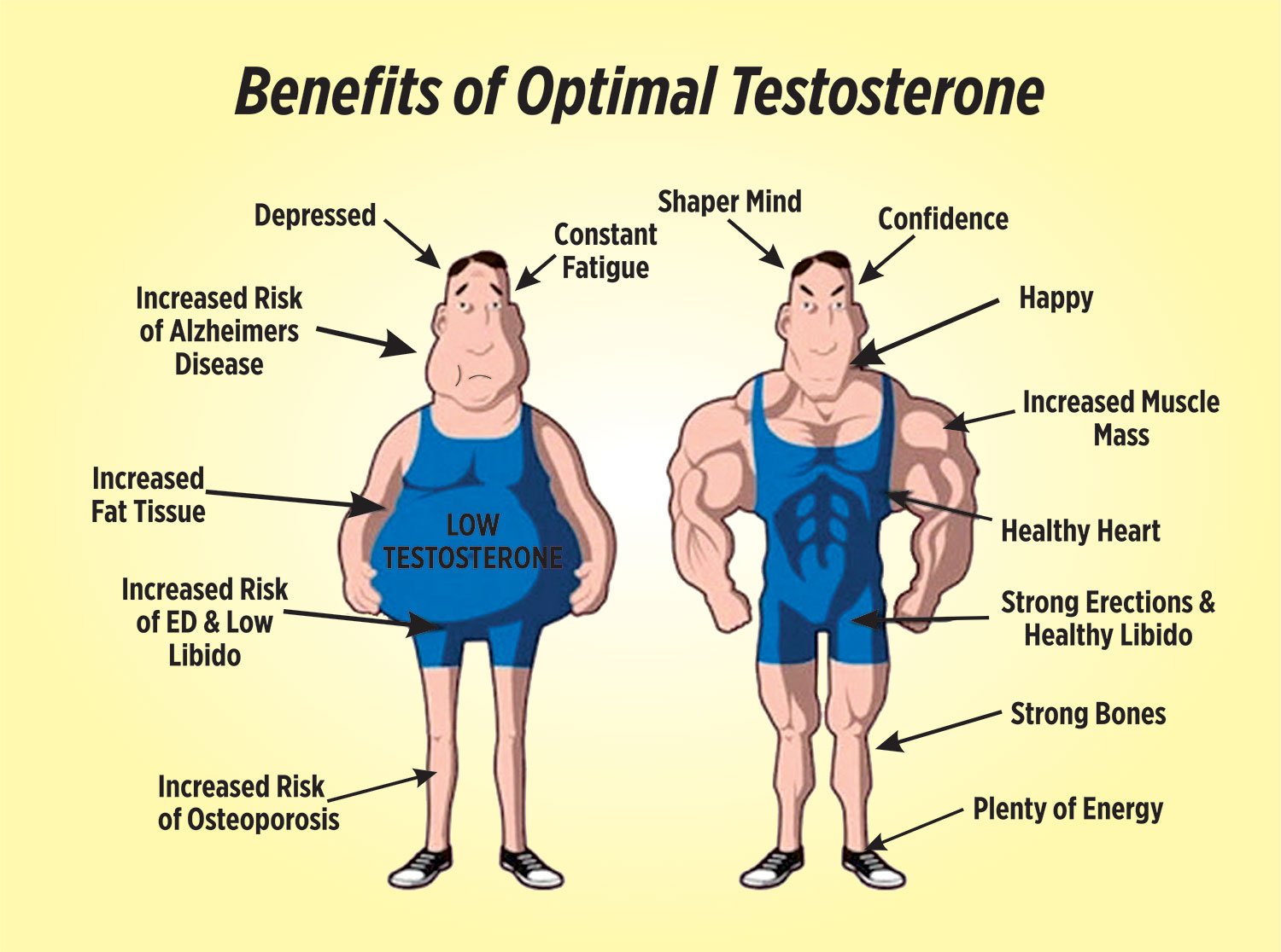 размер члена тестостерон фото 42