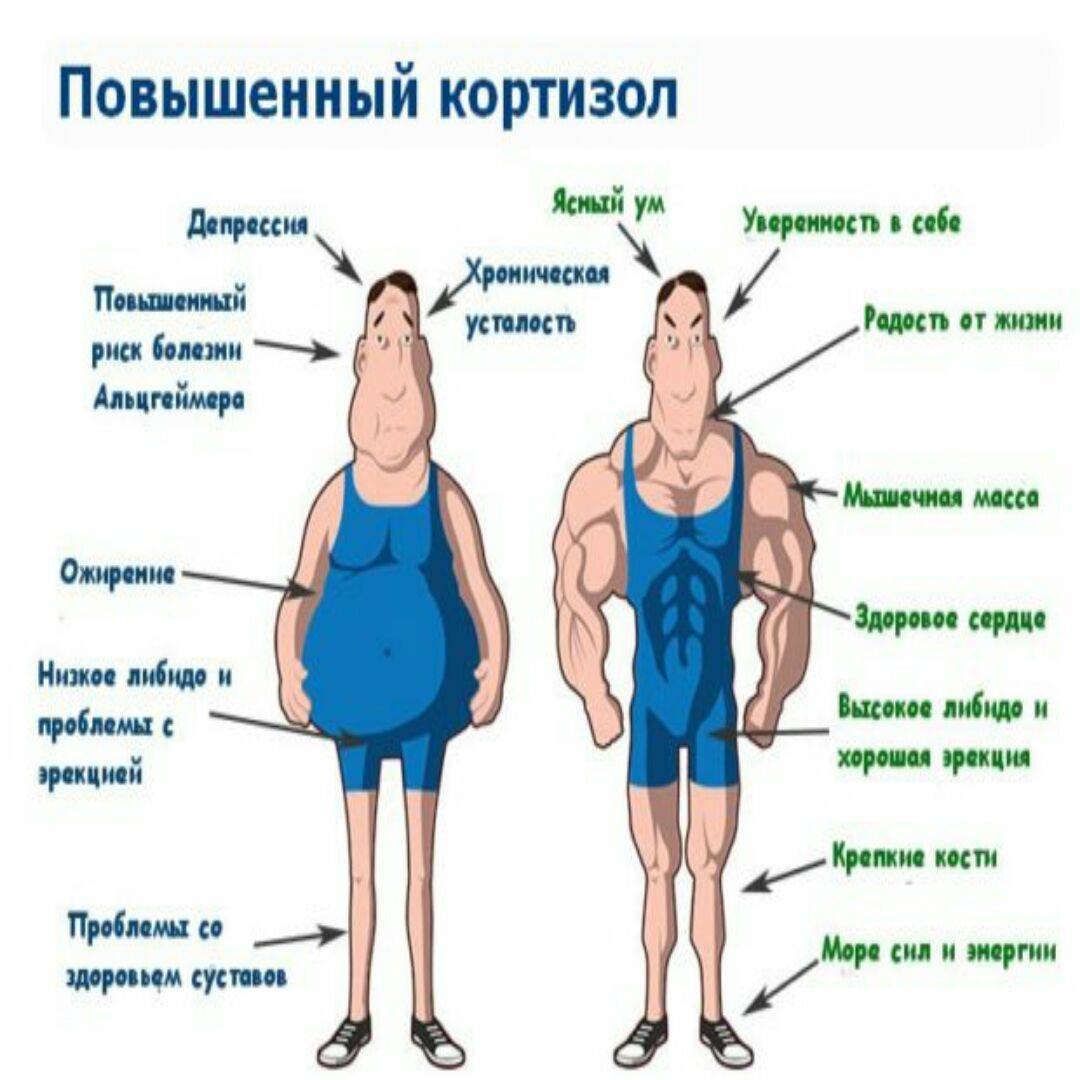 Самые полезные продукты