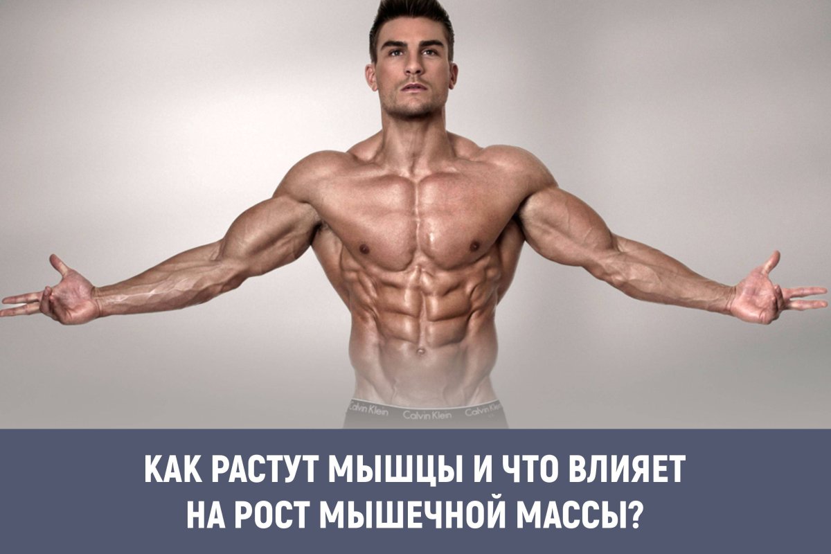 Красивый бицепс