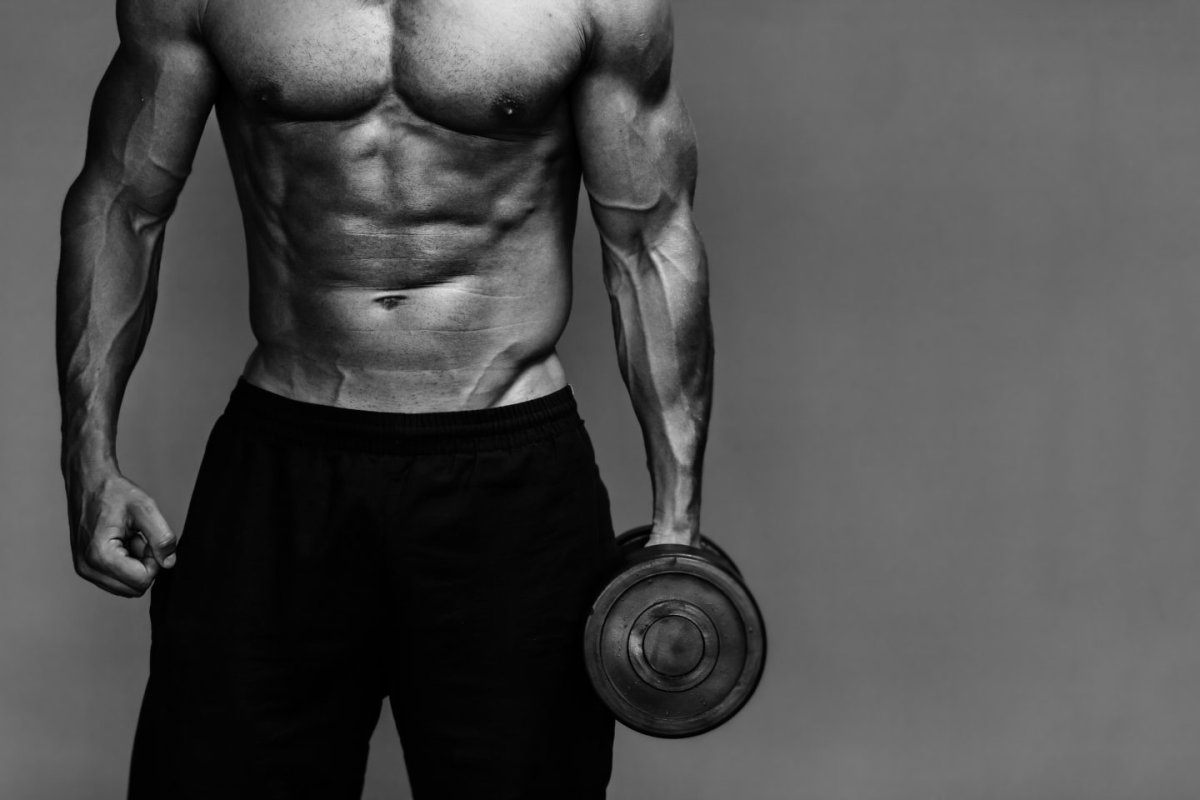 Майкл ДЕМЕЛЛО muscle
