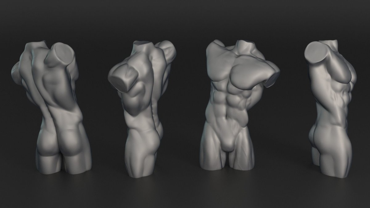 Мужское тело для скульптинга