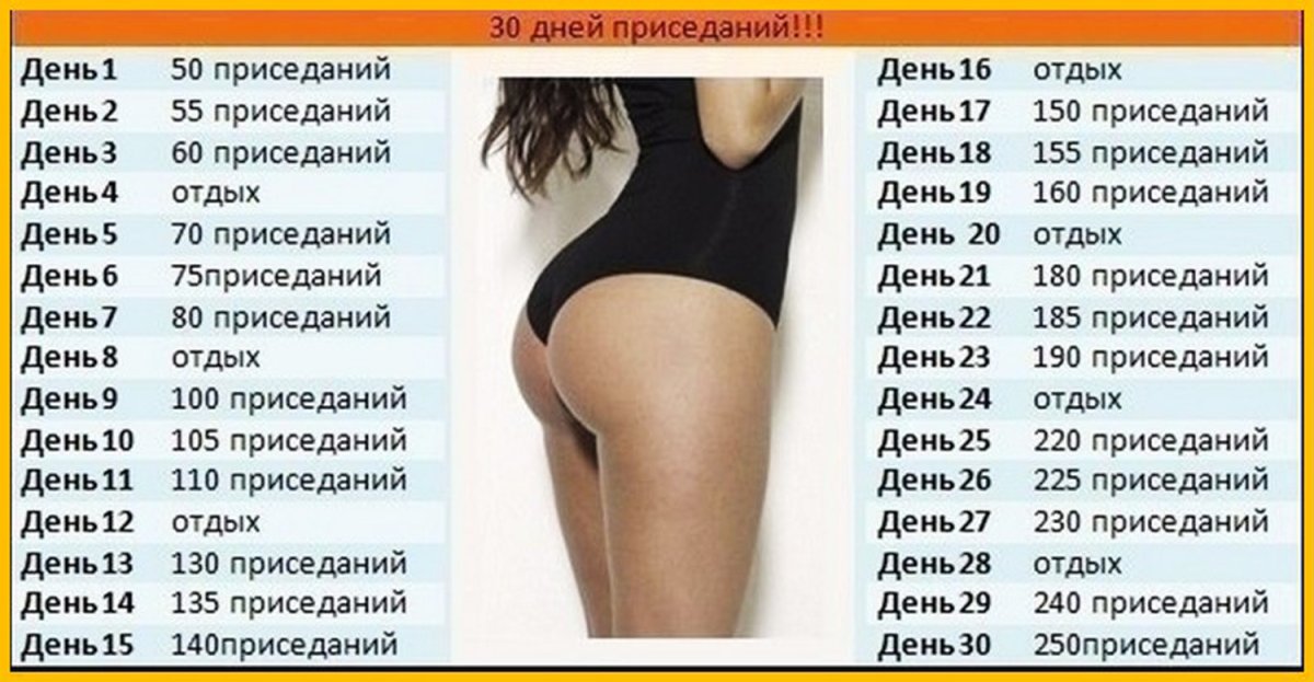 Упражнения на большую ягодичную мышцу для женщин
