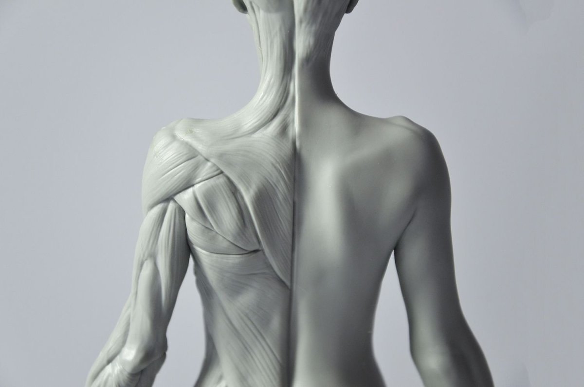 Полоски Альфа Zbrush