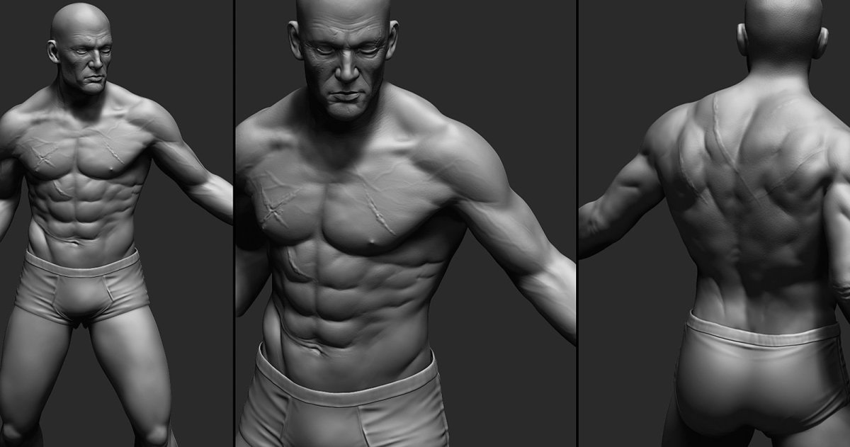 Male Torso