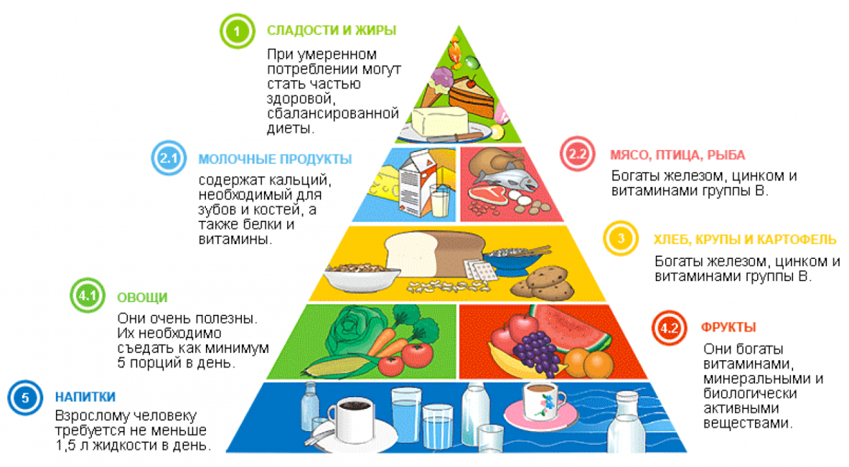 Здоровое питание школьников