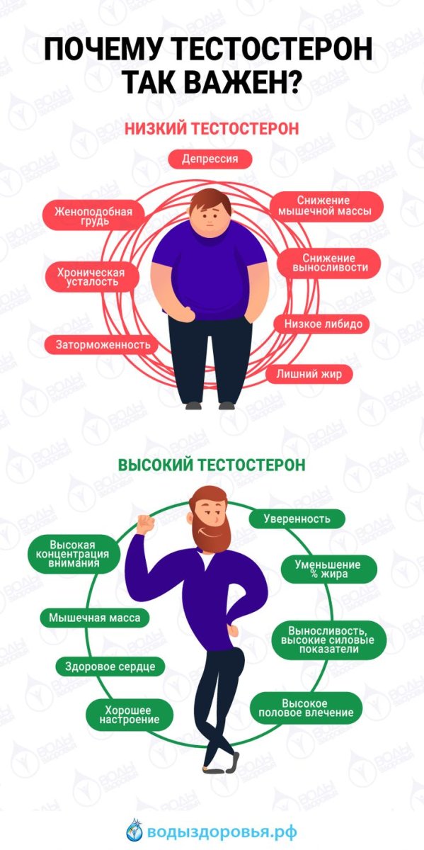 Уровень тестостерона и внешность