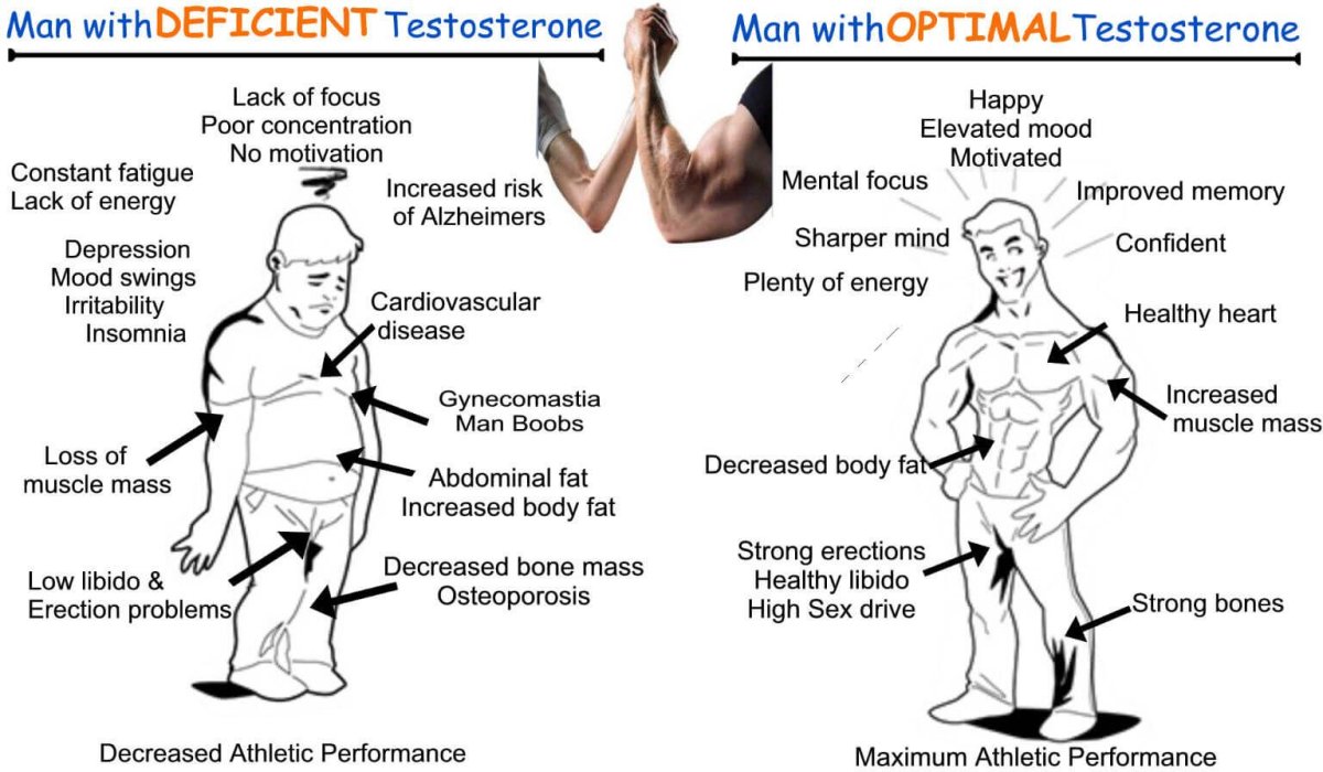 High testosterone man