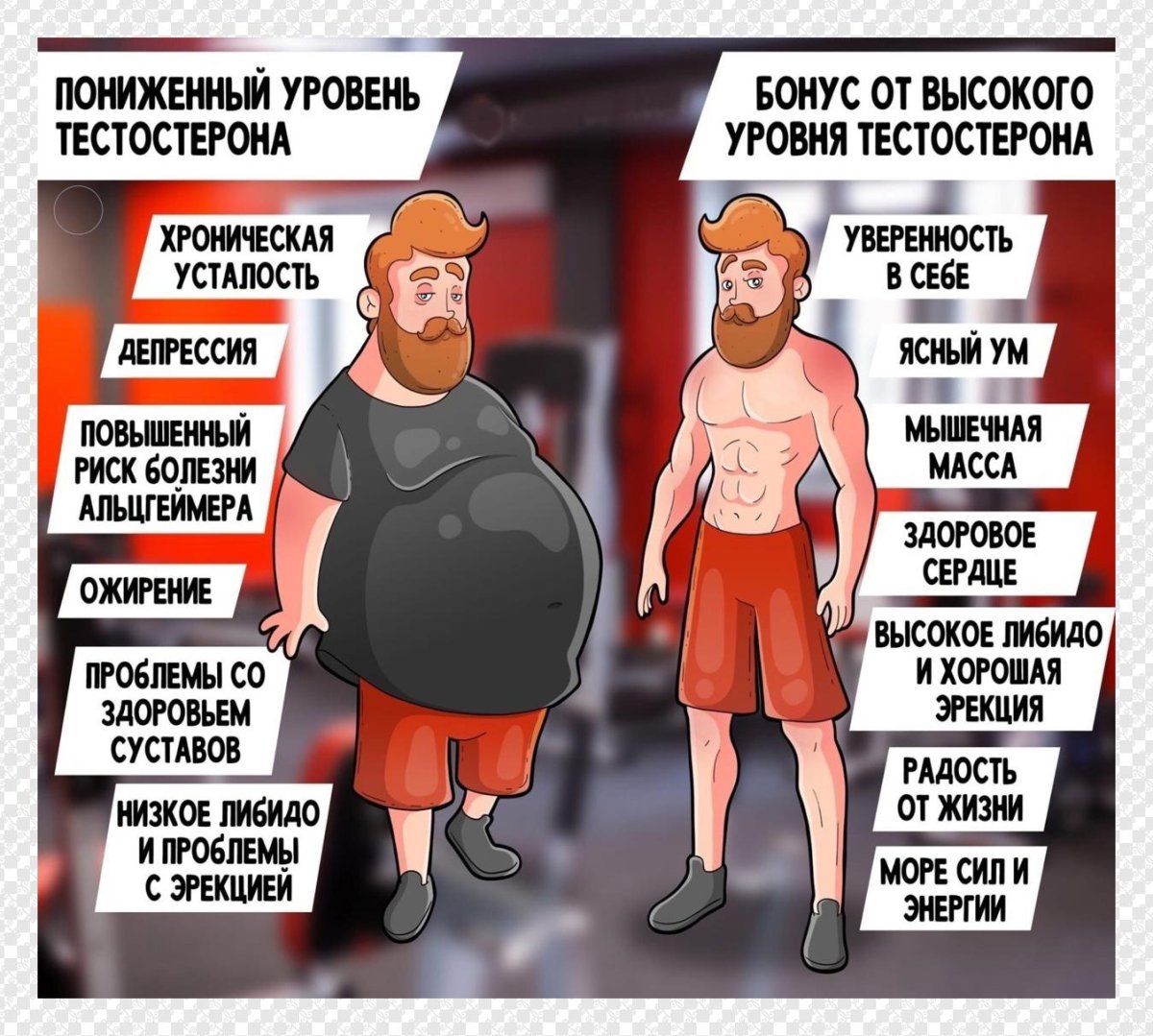 Кортизол гормон стресса
