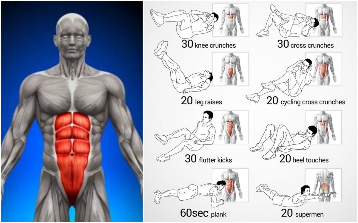 Упражнения на пресс мышцы