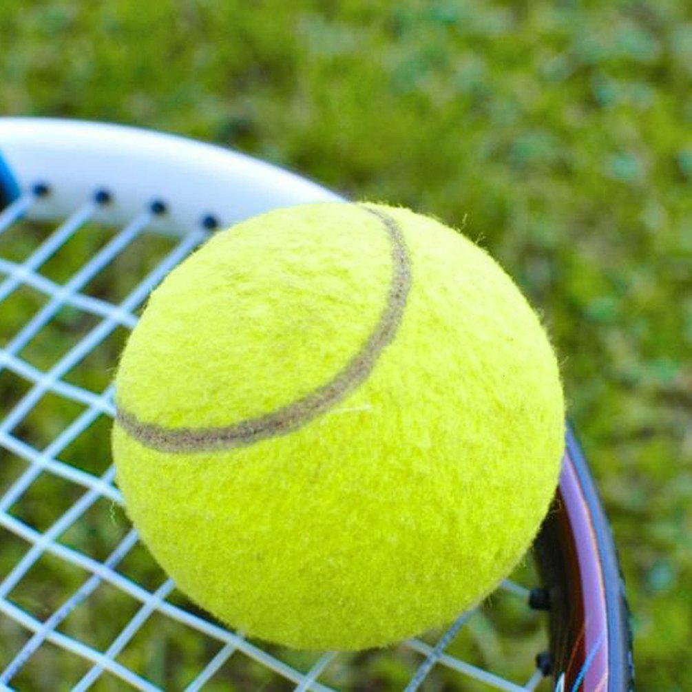 Мяч для большого тенниса Tennis balls Raju-40