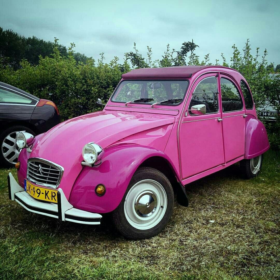 2cv разноцветная