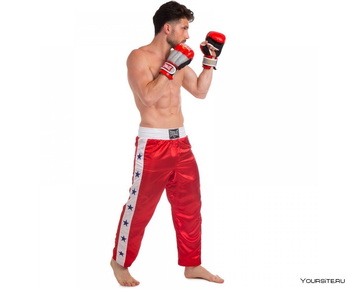 Штаны для кикбоксинга Everlast