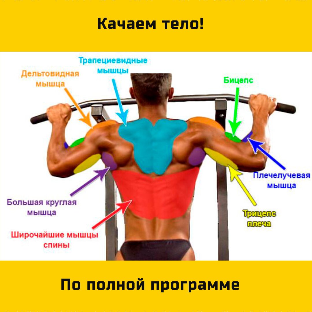 Подтягивания группы мышц