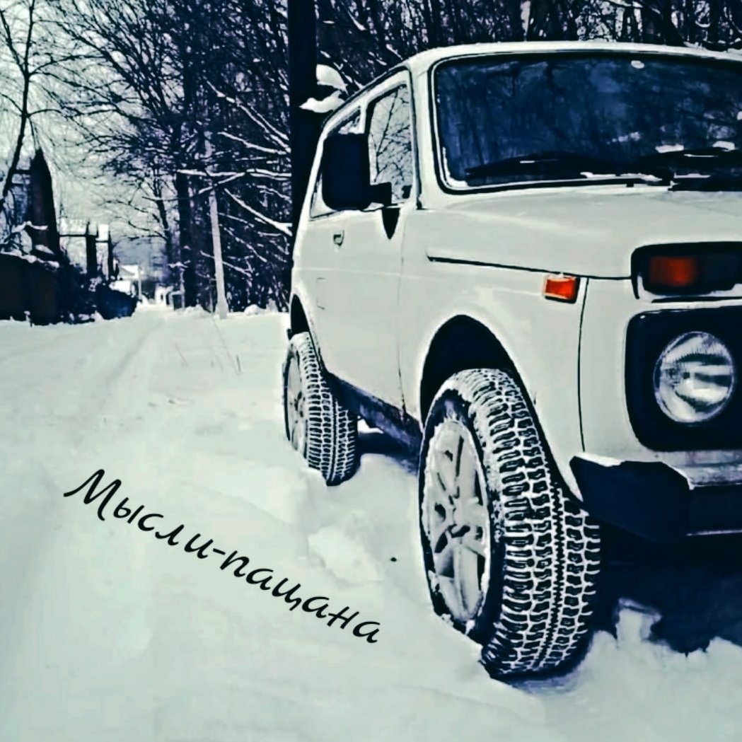 Нива зимой в лесу