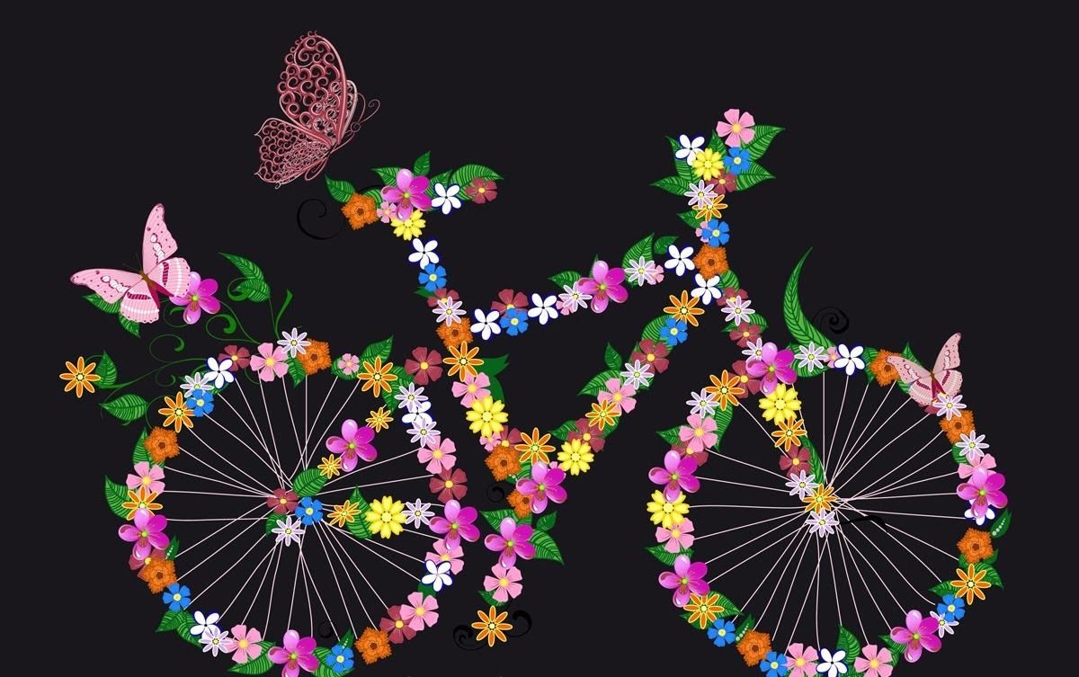 Велосипед бабочка