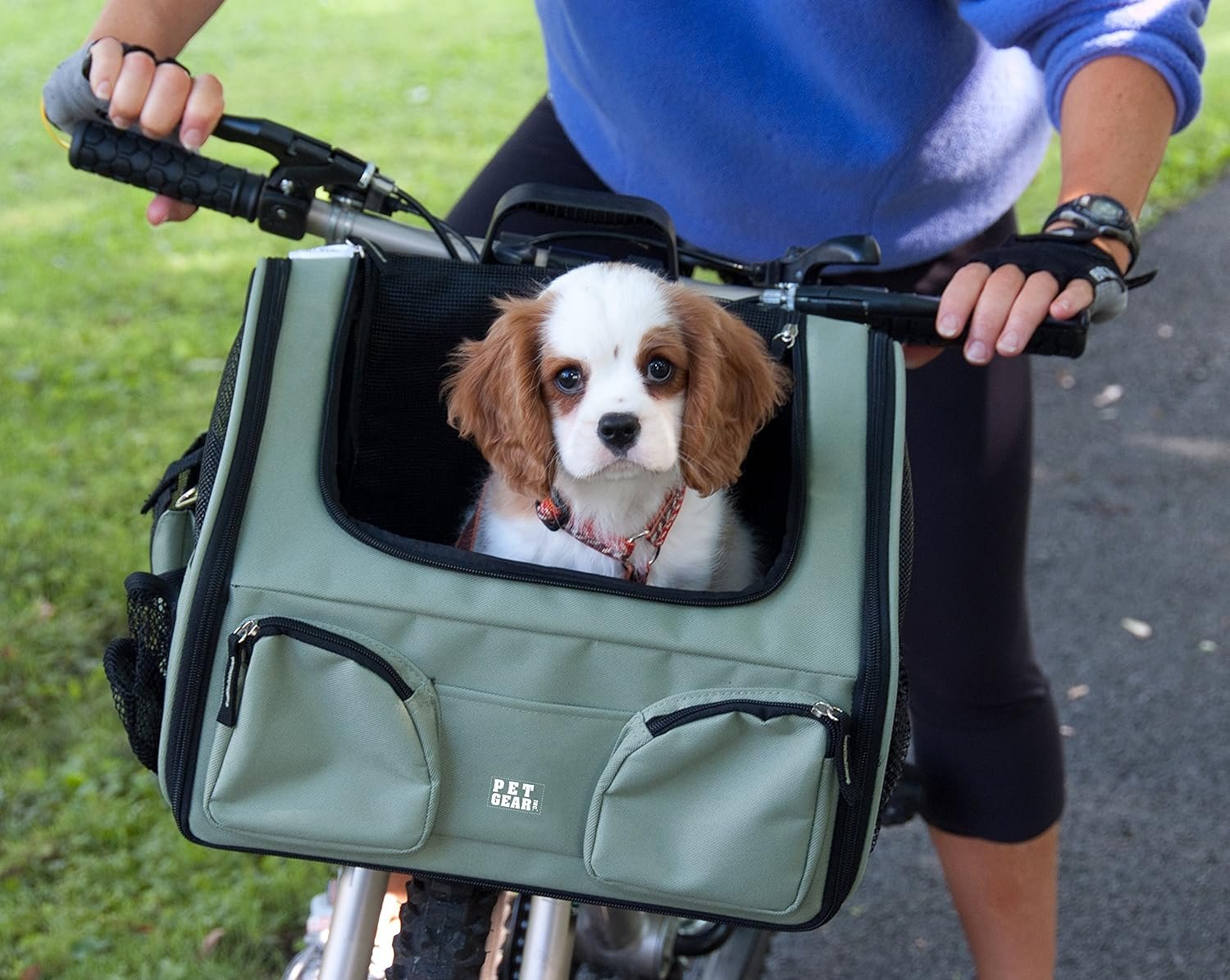 Можно ездить на собаке. Сумка велосипедная pefsit Dog Bicycle Basket. Велосипедная переноска для собак. Переноска для животных на велосипед. Сумка переноска для собак на велосипед.