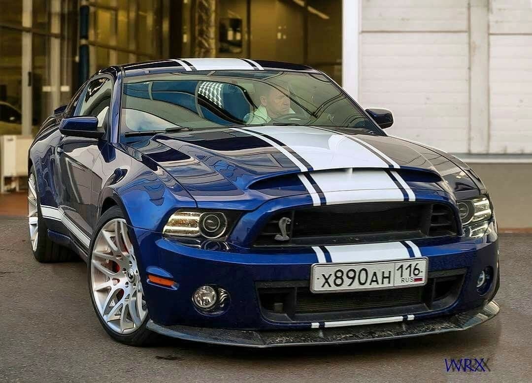 Ford Shelby gt500 super Snake 2010