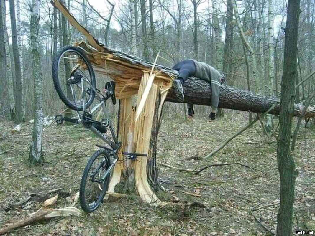 Велосипед врезался в дерево