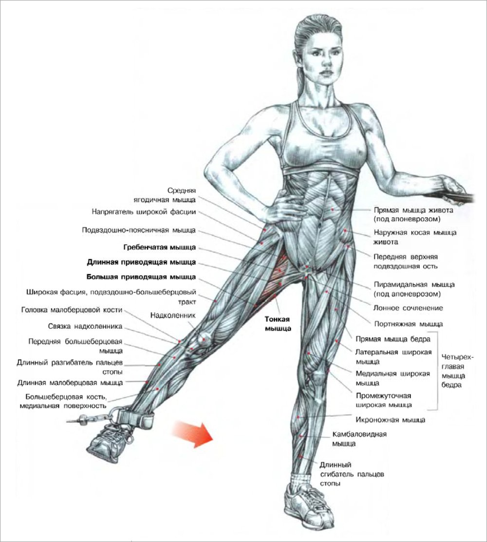 Упражнения для внутренних мышц ног