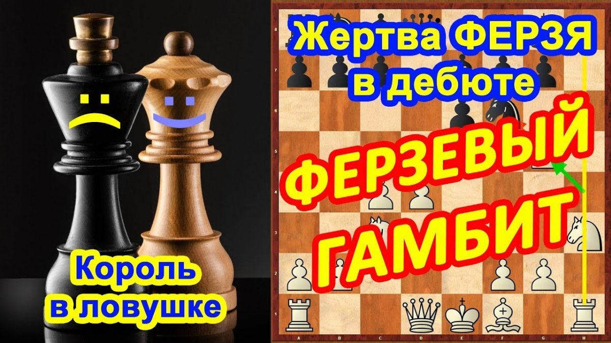 Дебют ферзевый гамбит