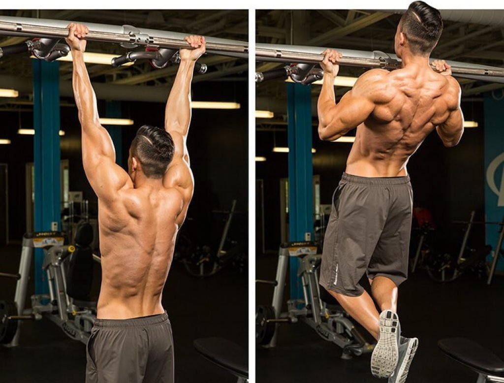 Подтягивания обратным хватом мышцы