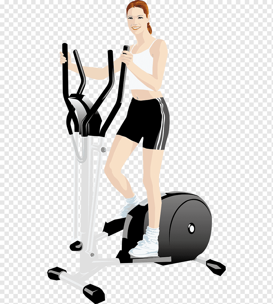 Векторный тренажеры и фитнес