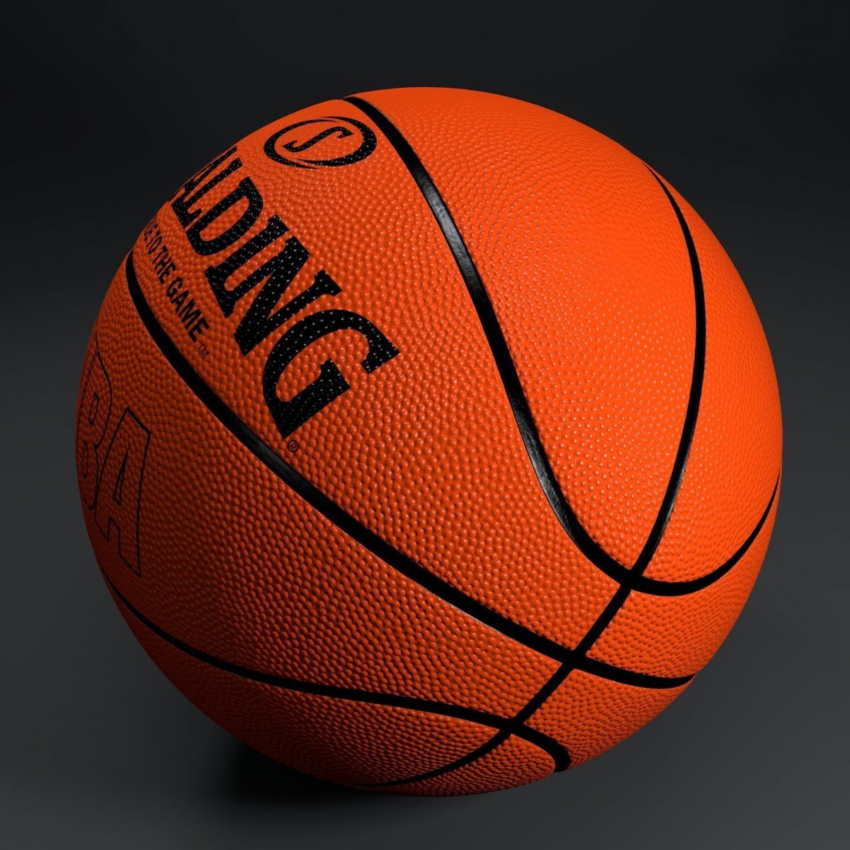 Баскетбольный мяч Spalding NBA CNS