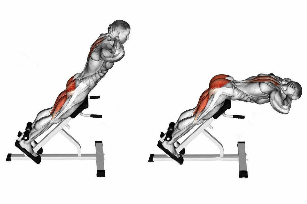 Наклонная гиперэкстензия Smith Fitness g31