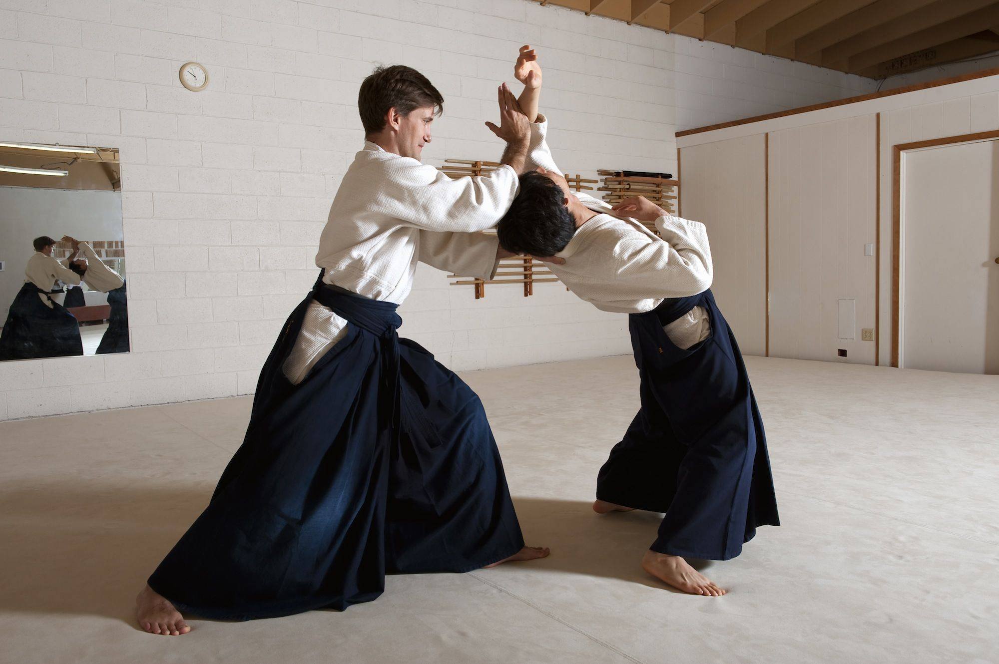 Восточные единоборства какие. Айкидо это японское боевое искусство. Карате боевые искусства Японии. Айкидо карате Япония. Японские боевые искусства (айкидо, дзюдо, каратэ до, сумо).