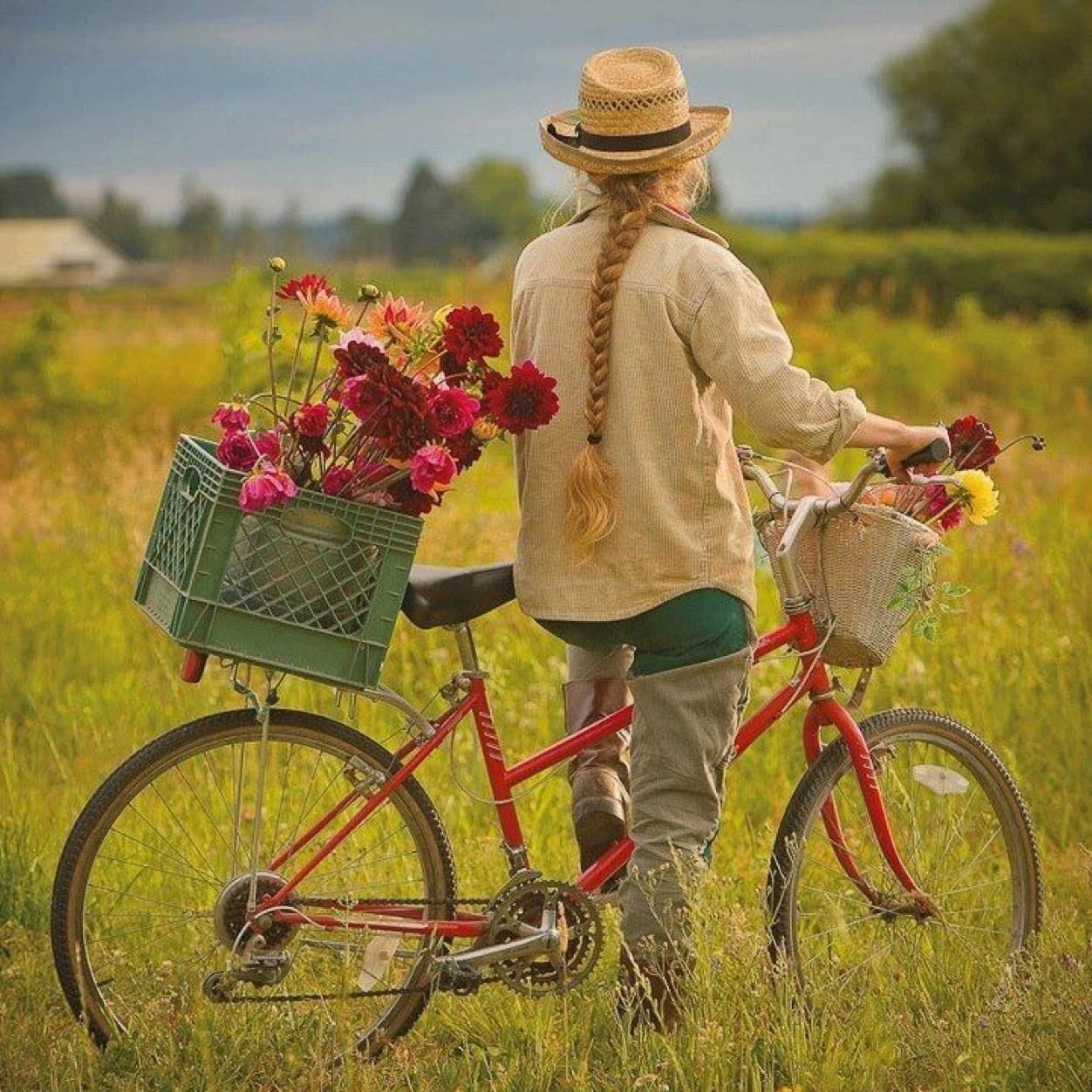 Песня вот и оно долгожданное лето. Велосипед цветы. Девушка на велосипеде с корзинкой. Лето велосипед. Велосипед с цветами.