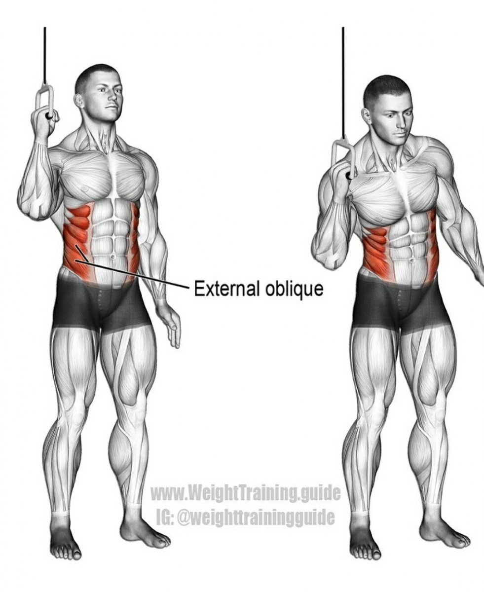 Упражнения для накачки боковых мышц
