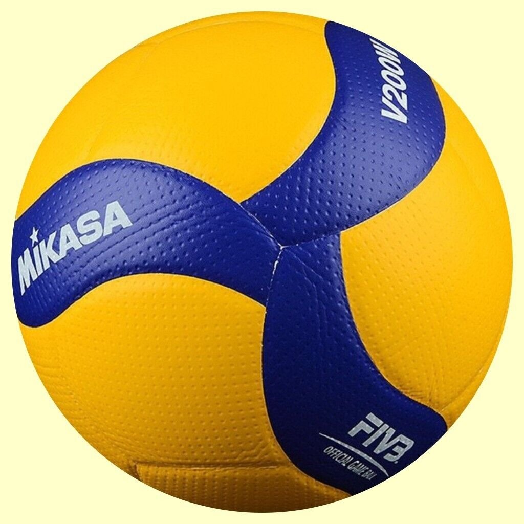 Волейбольный мяч v200w