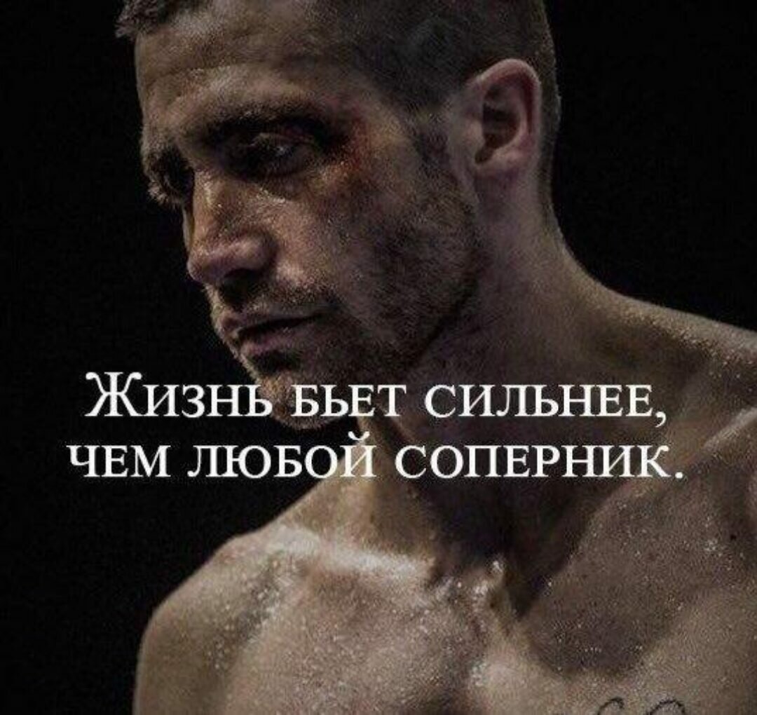 Жизнь бьет сильнее чем