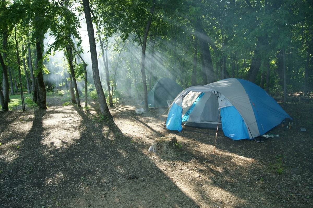 Чардым палаточный лагерь