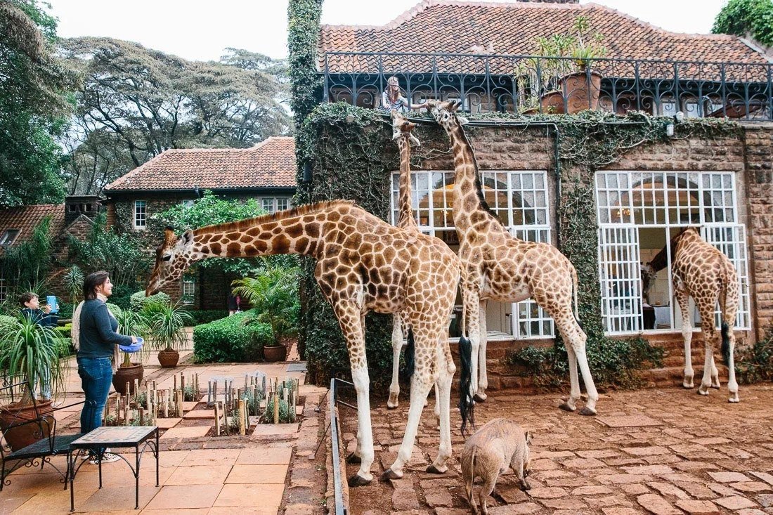 Отель Giraffe Manor, Найроби, Кения