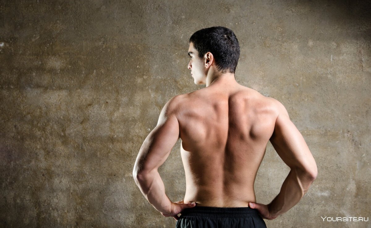 Мужская спина