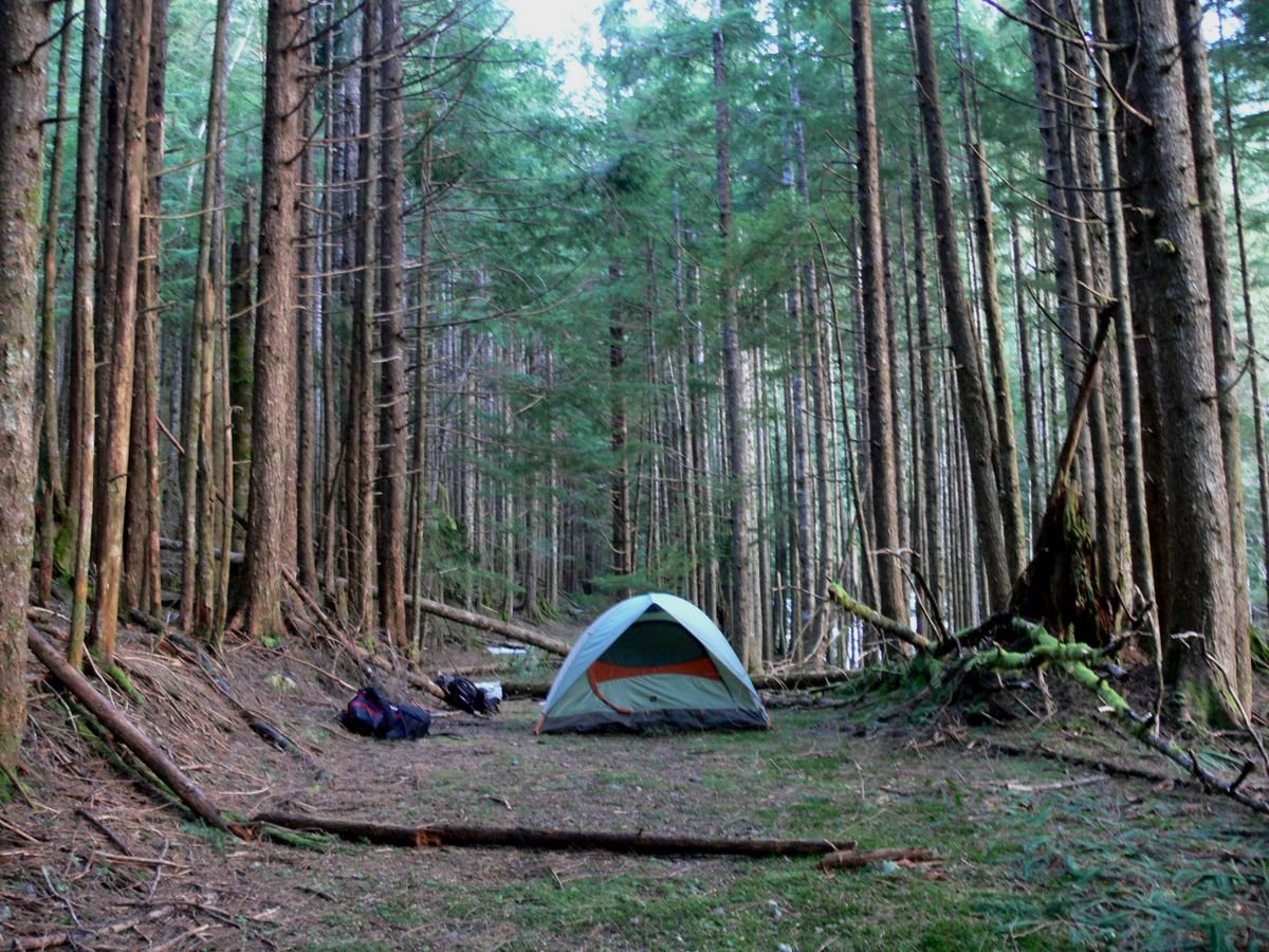 Camper in the Woods