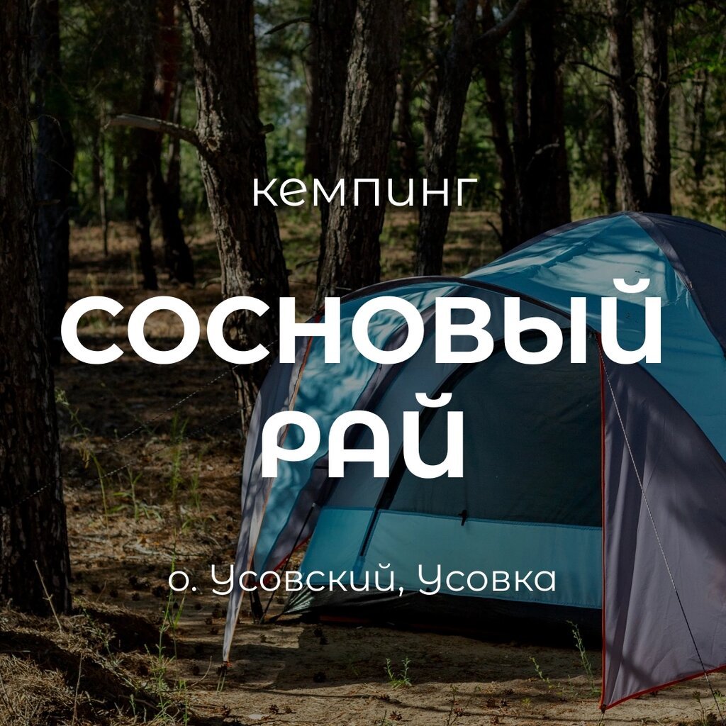 Кемпинг сосновый рай
