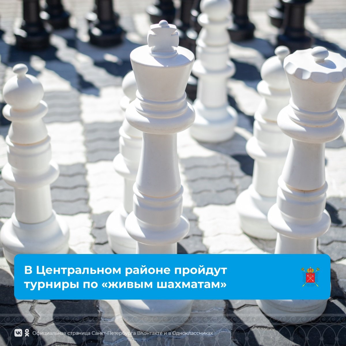 Гигантские шахматы своими руками