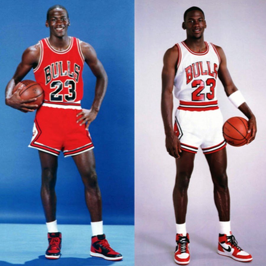 Nike Air Jordan 1 Michael Jordan