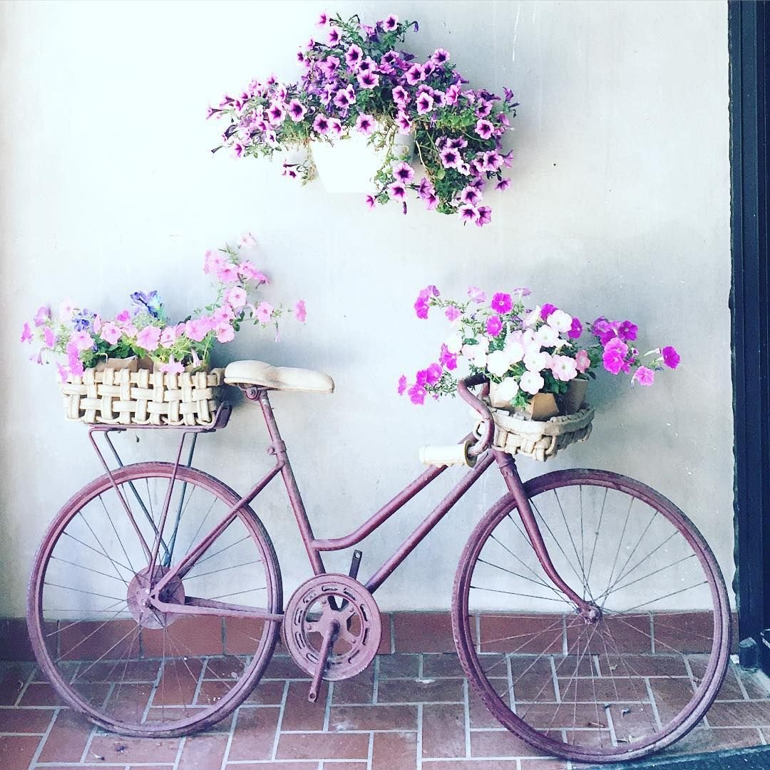 Цветы на розовом велосипеде