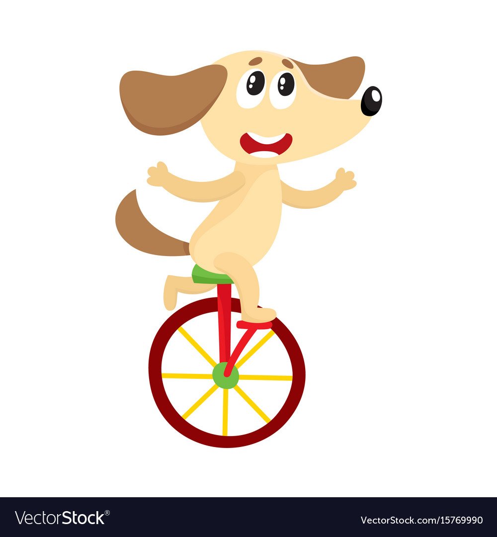 Цирковые собаки на велосипеде
