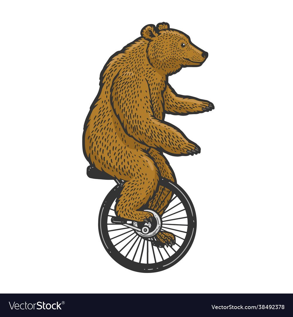 Медведь на одноколесном велосипеде рисунок