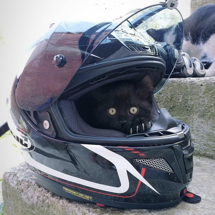 Шлем мотоциклетный смешной