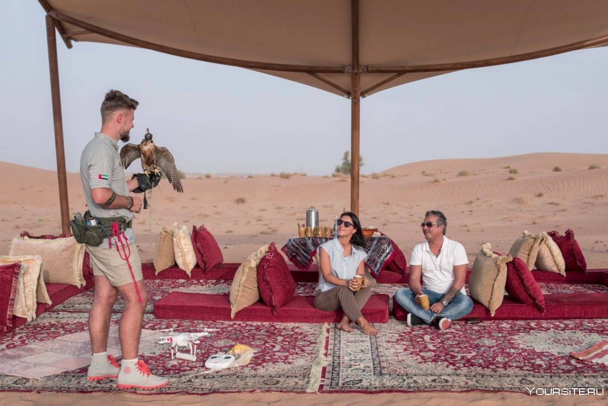 Дубай бедуины экскурсия