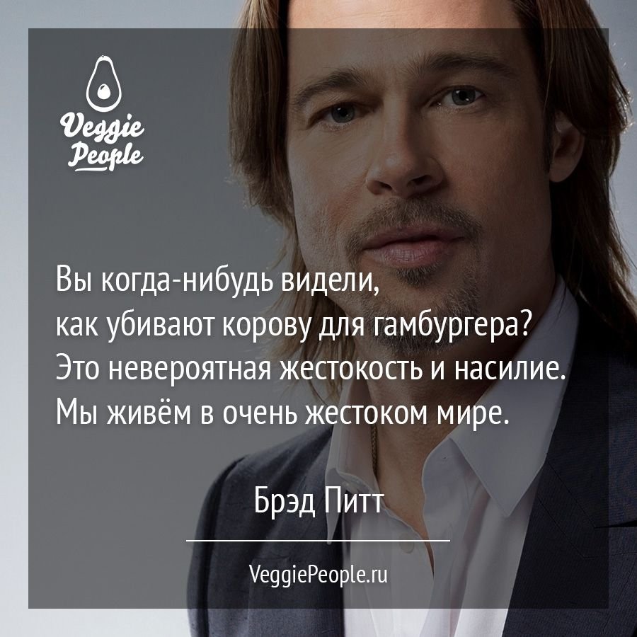 Цитаты Брэда Питта