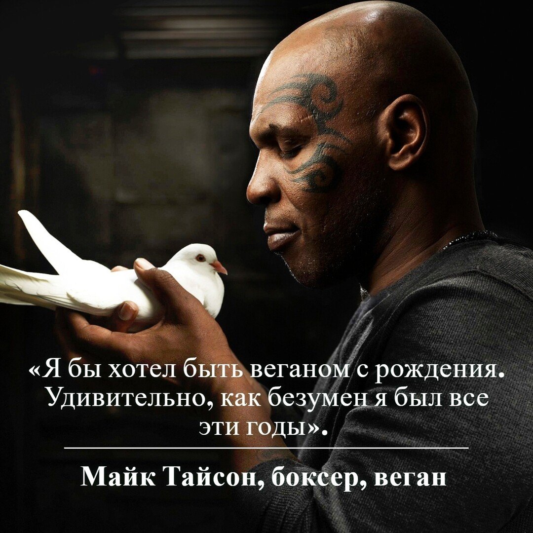 Майк Тайсон вегетарианец