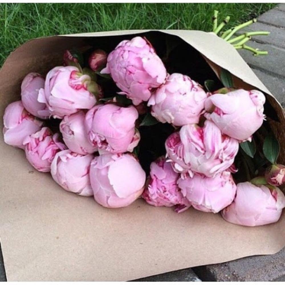 Розовые пионы в крафтовой бумаге