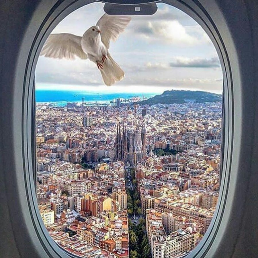 Вид из окна самолета на Нью Йорк